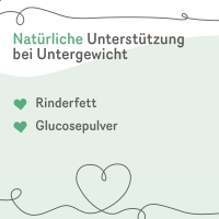 Grau Energy Booster (Rinderfettpulver)