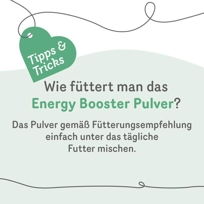 Grau Energy Booster (Rinderfettpulver)