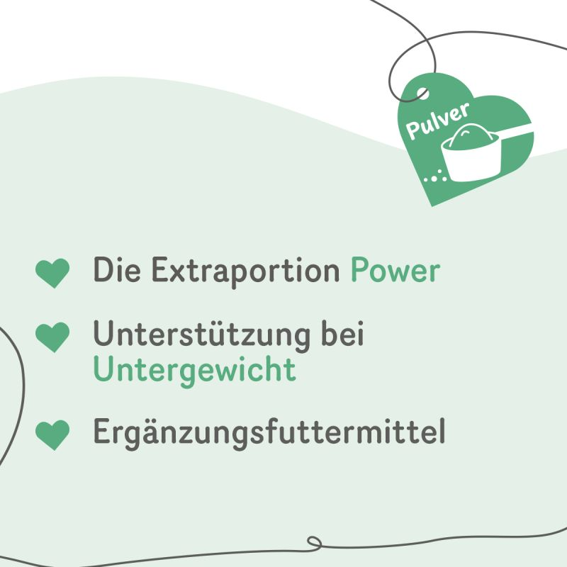 Grau Dog Erg.Futt. Health Rinderfett Plv. 400g