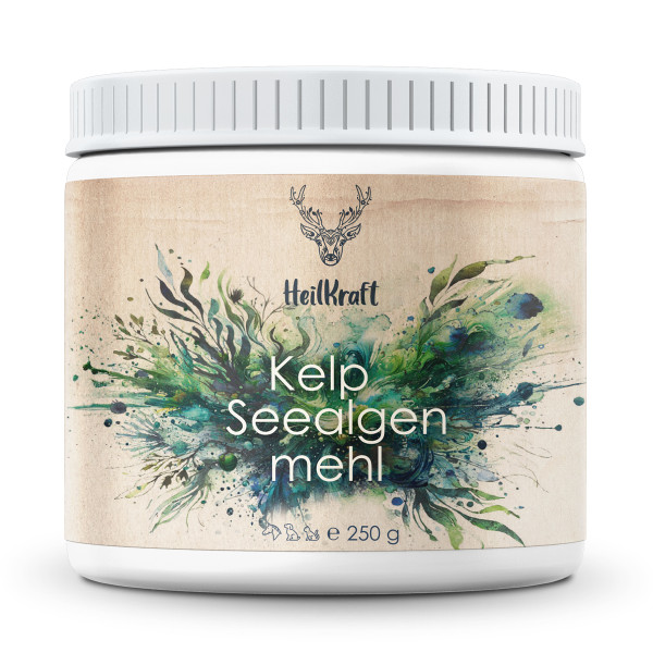 Heilkraft Kelp Seealgenmehl