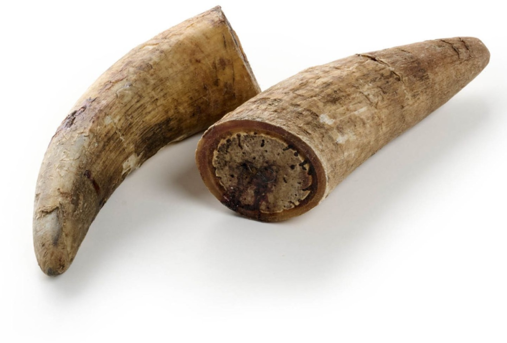 NaturNah N04 Rinder Horn 1Stk.