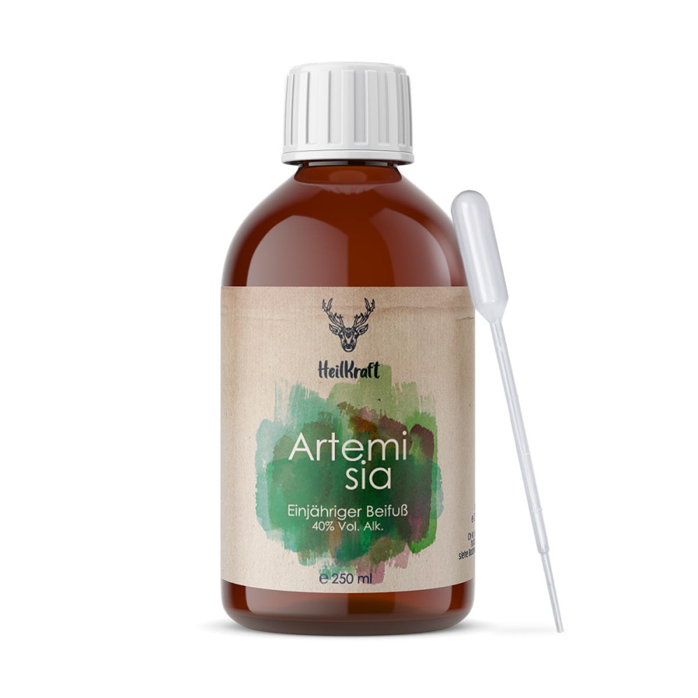 Heilkraft Artemisia annua dmso