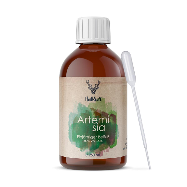 Heilkraft Artemisia annua dmso