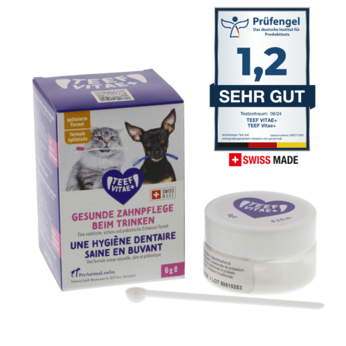 Zahnpflege