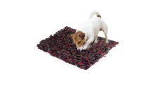 Camon Schnüfffelteppich 50x60cm rot-grau