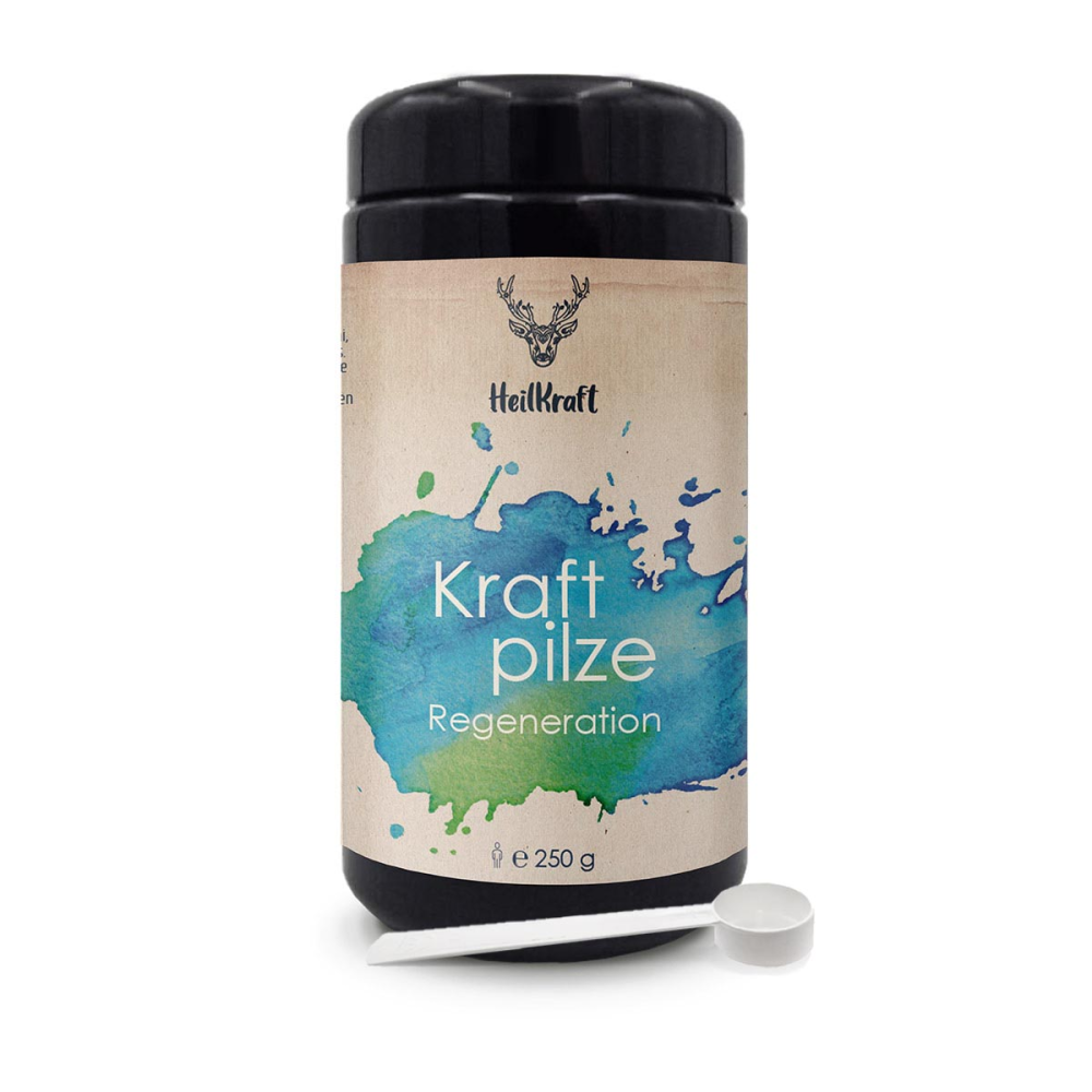 Heilkraft kraftpilze regeneration