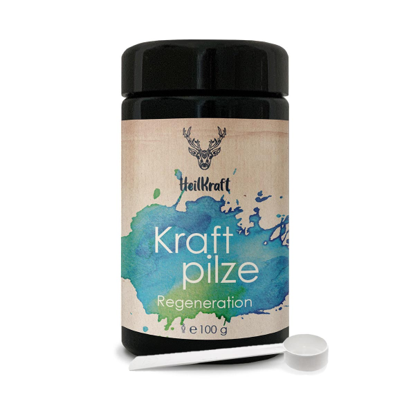 Heilkraft kraftpilze regeneration