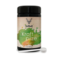 Heilkraft kraftpilze leben