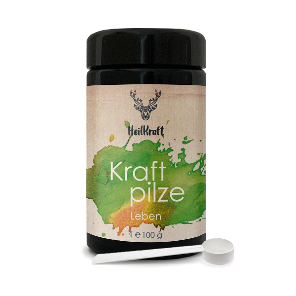 Heilkraft kraftpilze leben