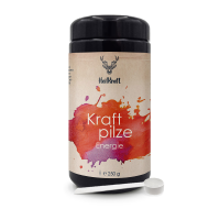 Heilkraft kraftpilze energie