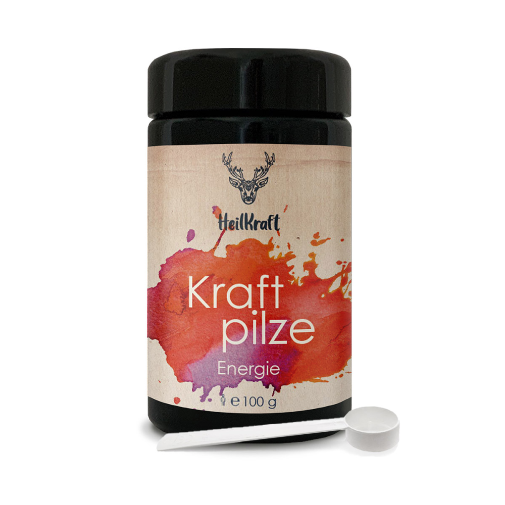 Heilkraft Kraftpilze Energie - 100 g