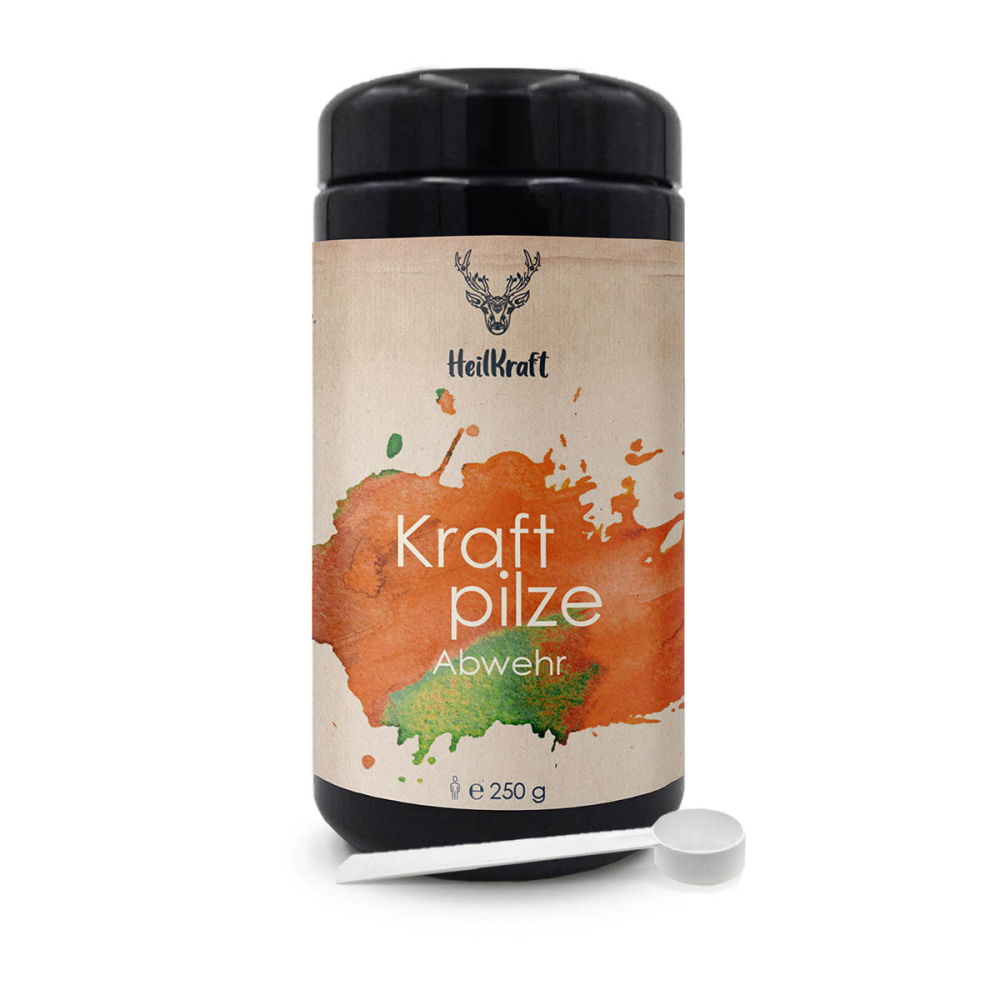 Heilkraft kraftpilze abwehr