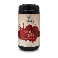 Heilkraft kraftpilz zunderschwamm