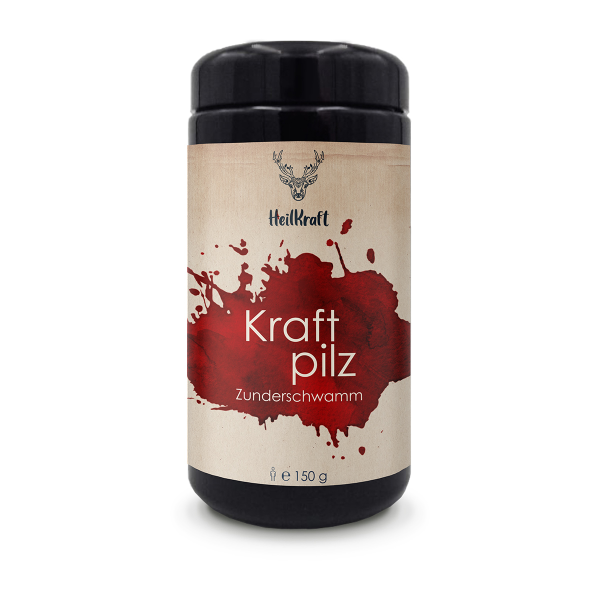 Heilkraft kraftpilz zunderschwamm