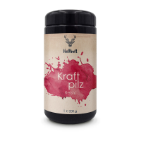 Heilkraft kraftpilz reishi