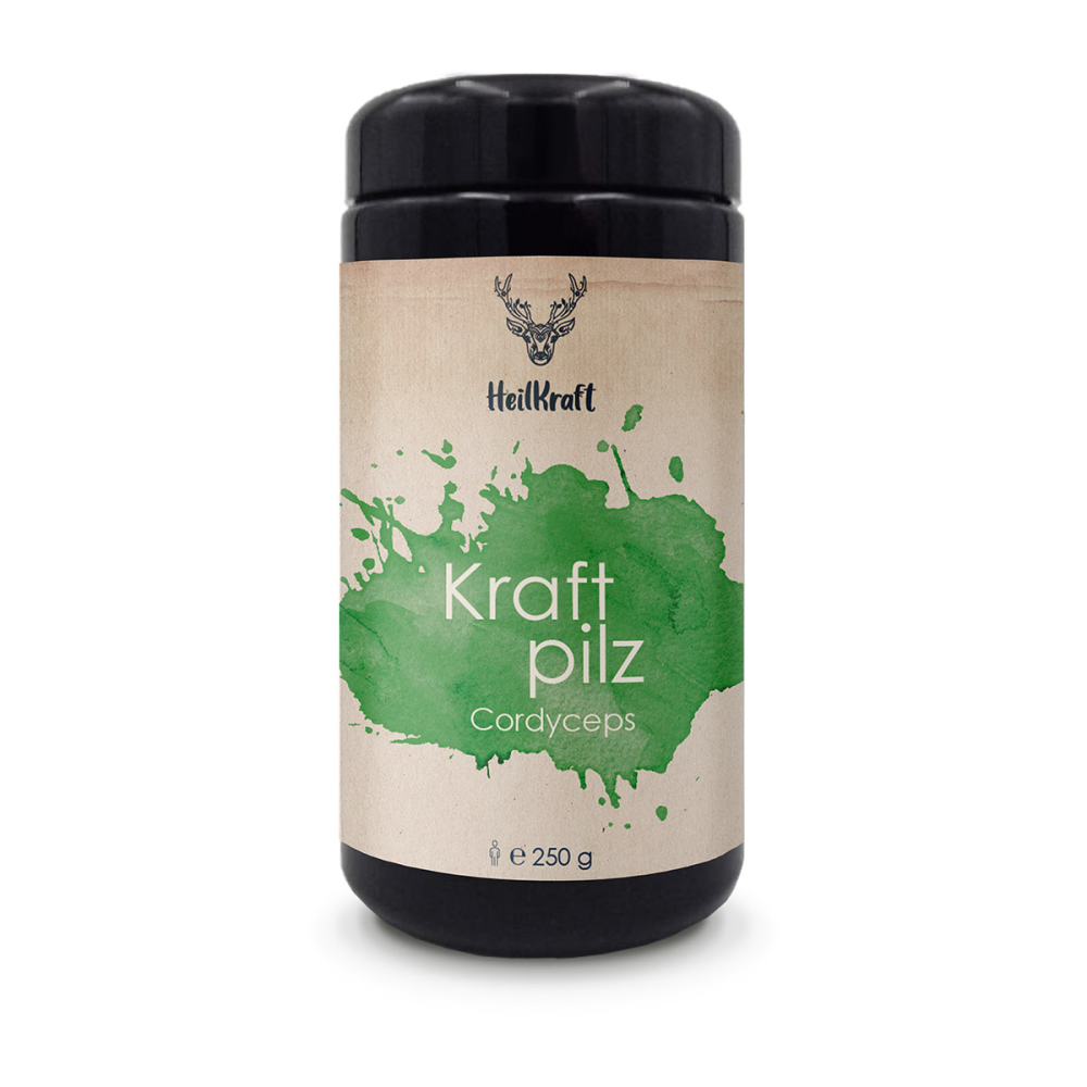 Heilkraft kraftpilz cordyceps