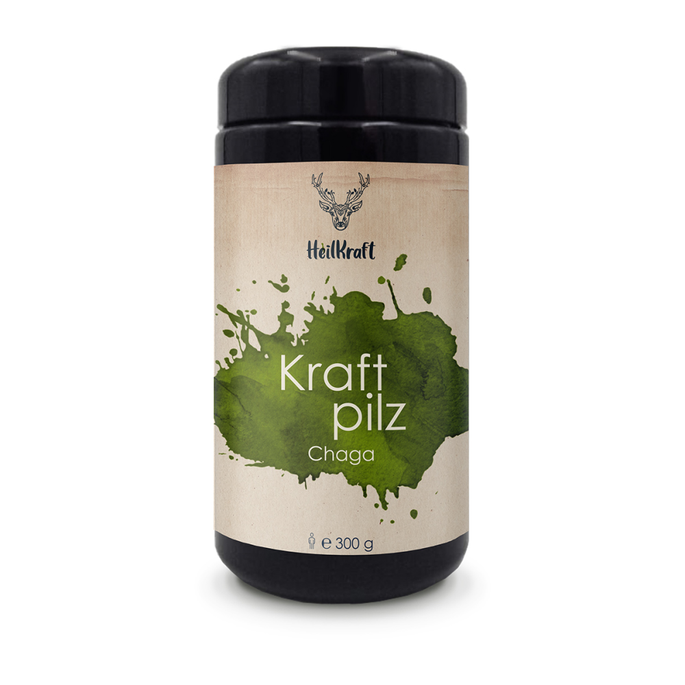 Heilkraft kraftpilz chaga