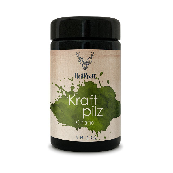 Heilkraft kraftpilz chaga