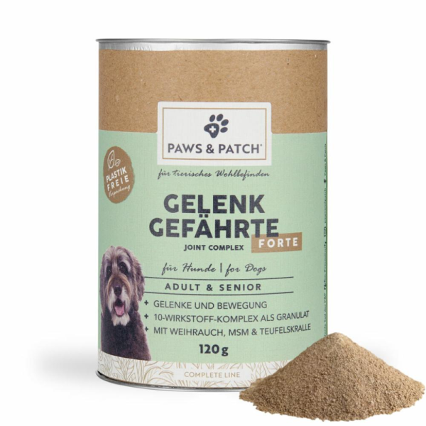 Paws&Patch gelenk gefährte